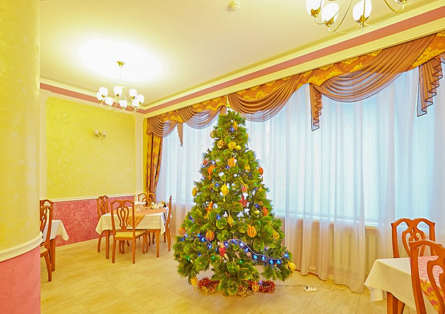 Фотоархив Нового года в санатории Калинина в городе Ессентуки - фотография