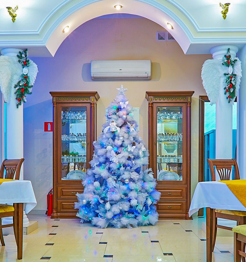 Фотоархив Нового года в санатории Калинина в городе Ессентуки - фотография