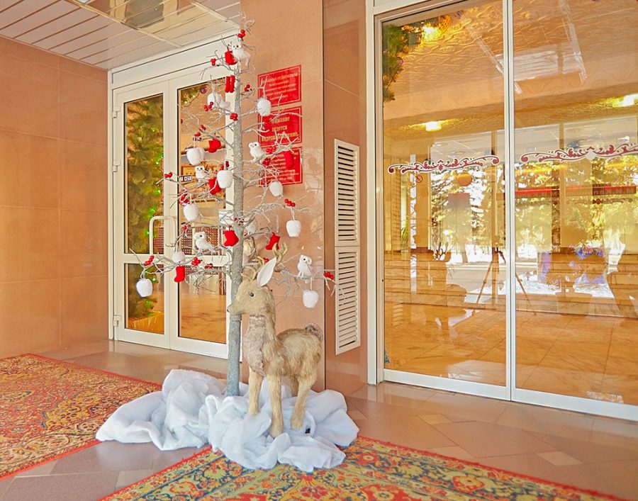 Фотоархив Нового года в санатории Калинина в городе Ессентуки - фотография