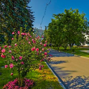 Территория в санатории Калинина в городе Ессентуки - фотография