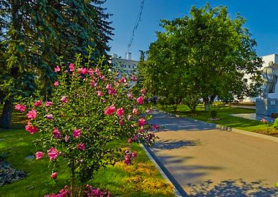 Территория в санатории Калинина в городе Ессентуки - фотография