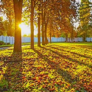 Территория в санатории Калинина в городе Ессентуки - фотография