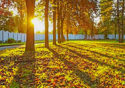 Территория в санатории Калинина в городе Ессентуки - фотография