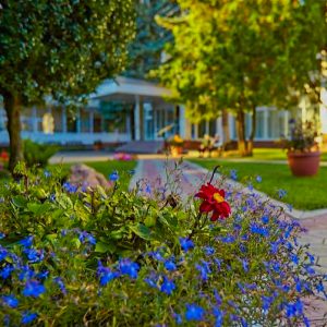 Территория в санатории Калинина в городе Ессентуки - фотография