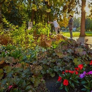 Территория в санатории Калинина в городе Ессентуки - фотография