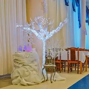 Фотоархив Нового года в санатории Калинина в городе Ессентуки - фотография