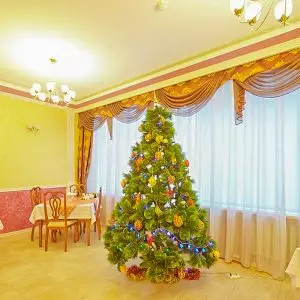 Фотоархив Нового года в санатории Калинина в городе Ессентуки - фотография