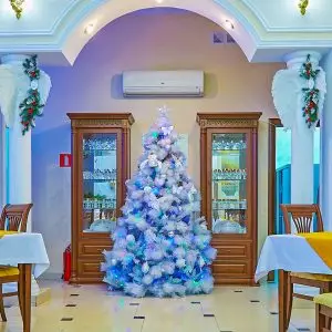 Фотоархив Нового года в санатории Калинина в городе Ессентуки - фотография