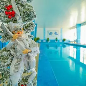 Фотоархив Нового года в санатории Калинина в городе Ессентуки - фотография