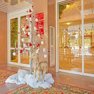 Фотоархив Нового года в санатории Калинина в городе Ессентуки - фотография