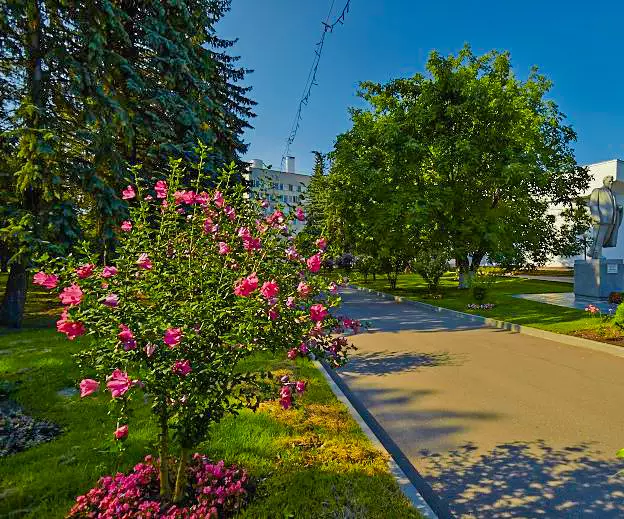 Территория в санатории Калинина в городе Ессентуки - фотография