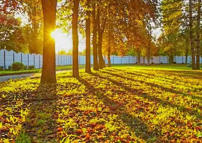 Территория в санатории Калинина в городе Ессентуки - фотография
